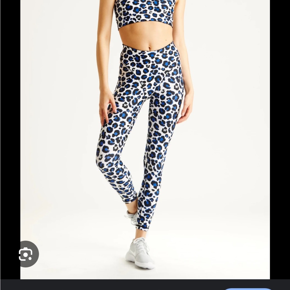 Adam Selman Sport Leopard Print High-Waisted Leggings and Crop Too